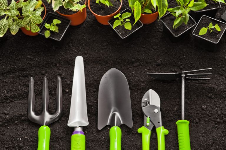 Gardening Tools Or Plants